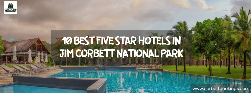 10 Best Five Star Hotels in Jim Corbett National Park
