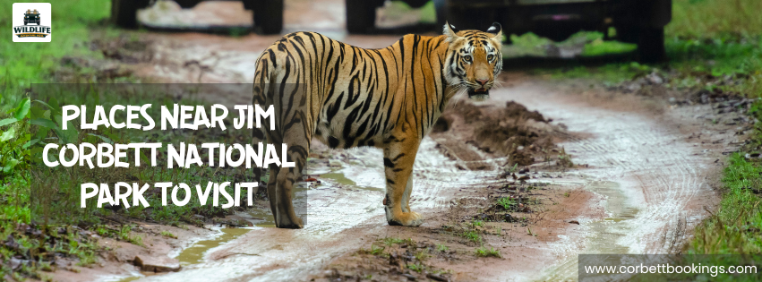 Places Near Jim Corbett National Park to Visit – Complete Travel Guide
