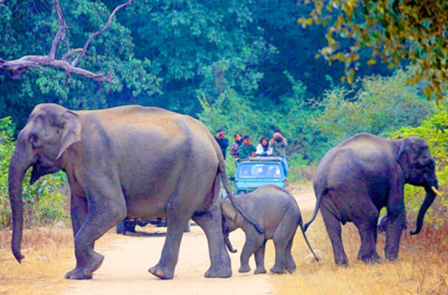 Hathi Dagar Zone