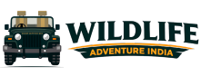 Wildlife Adventure India logo