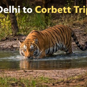 Delhi to Corbett Trip