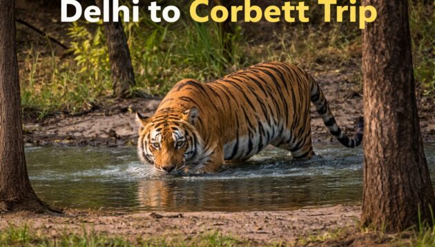 Delhi to Corbett Trip
