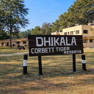 Dhikala Night Stay in Corbett