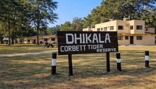 Dhikala Night Stay in Corbett