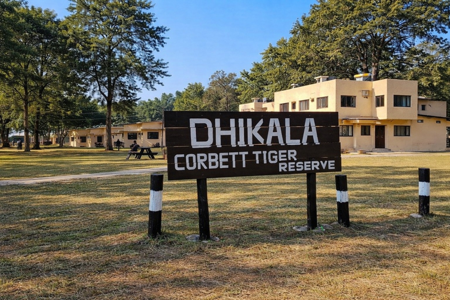 Dhikala Night Stay in Corbett: Everything You Need to Know Before You Book