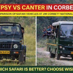 Gypsy vs Canter Corbett: Which Safari Vehicle Is Right for You?