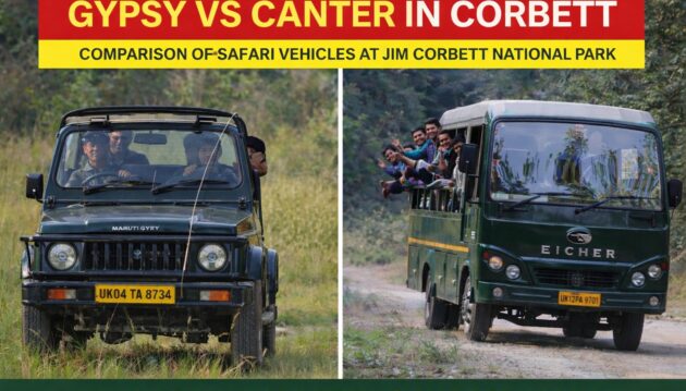 Gypsy vs Canter Corbett: Which Safari Vehicle Is Right for You?