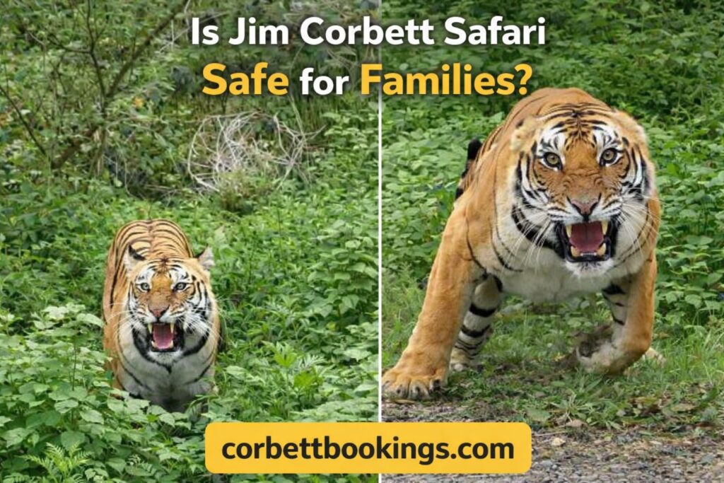 Is Jim Corbett Safari Safe for Families with Kids