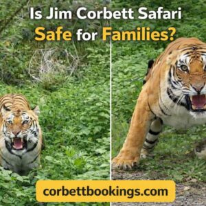 Is Jim Corbett Safari Safe for Families with Kids