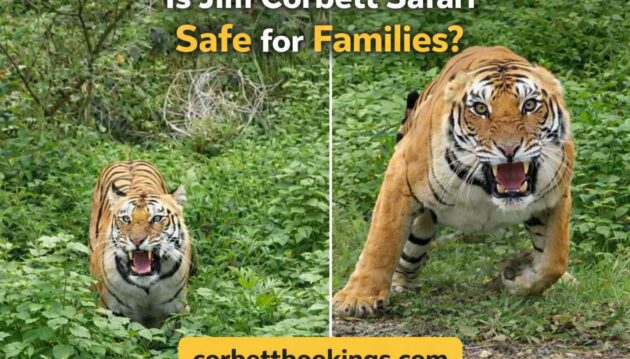 Is Jim Corbett Safari Safe for Families with Kids