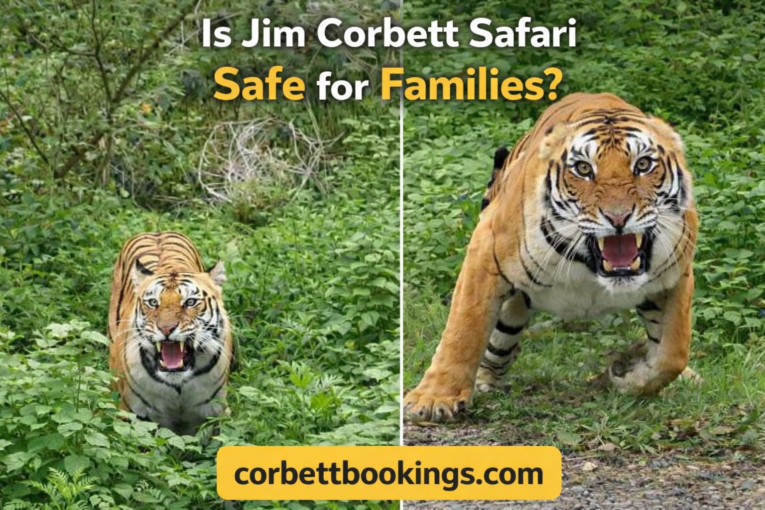 Is Jim Corbett Safari Safe for Families with Kids?