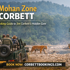Mohan Zone Corbett Safari Guide for Jim Corbett's Hidden Gem