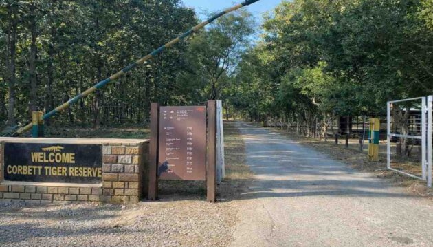 Why Jim Corbett Faces Tourist Decline