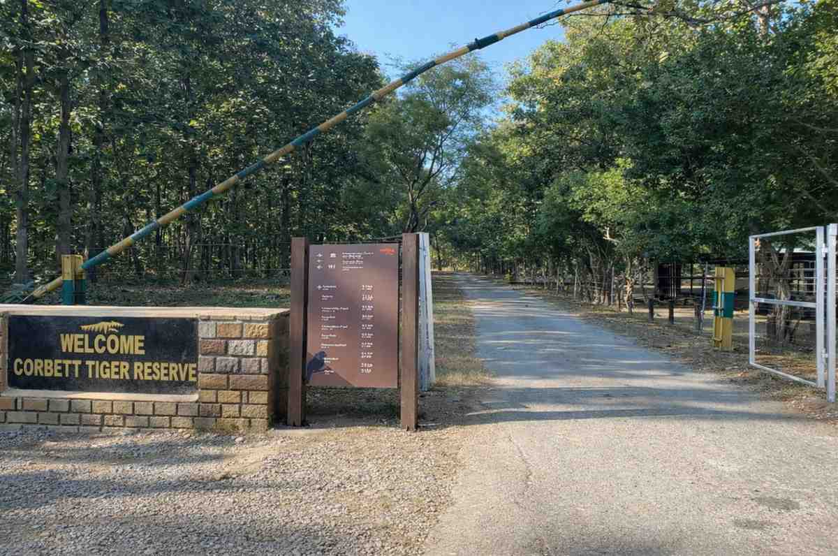 Why Jim Corbett Faces Tourist Decline