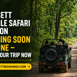 Corbett Jungle Safari Season Closing Soon in June – Plan Your Trip Now