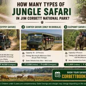 How many types of Jungle Safari in Jim Corbett National Park