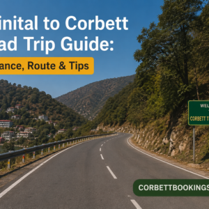Nainital to Corbett Road Trip Guide Distance, Route & Tips