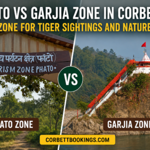Phato vs Garjia Zone in Corbett Best Zone for Tiger Sightings and Nature Lovers