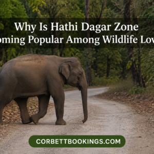 Why Is Hathi Dagar Zone Becoming Popular Among Wildlife Lovers 