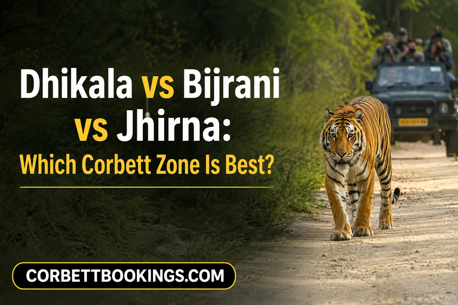 Dhikala vs Bijrani vs Jhirna: Which Corbett Zone Is Best?
