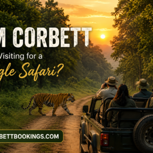 Is Jim Corbett Worth Visiting for a Jungle Safari
