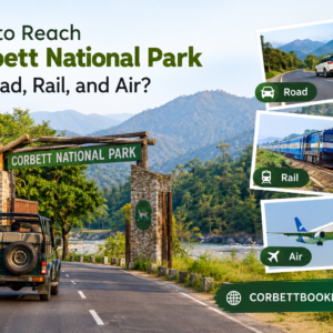 How to Reach Corbett National Park by Road, Rail, and Air 