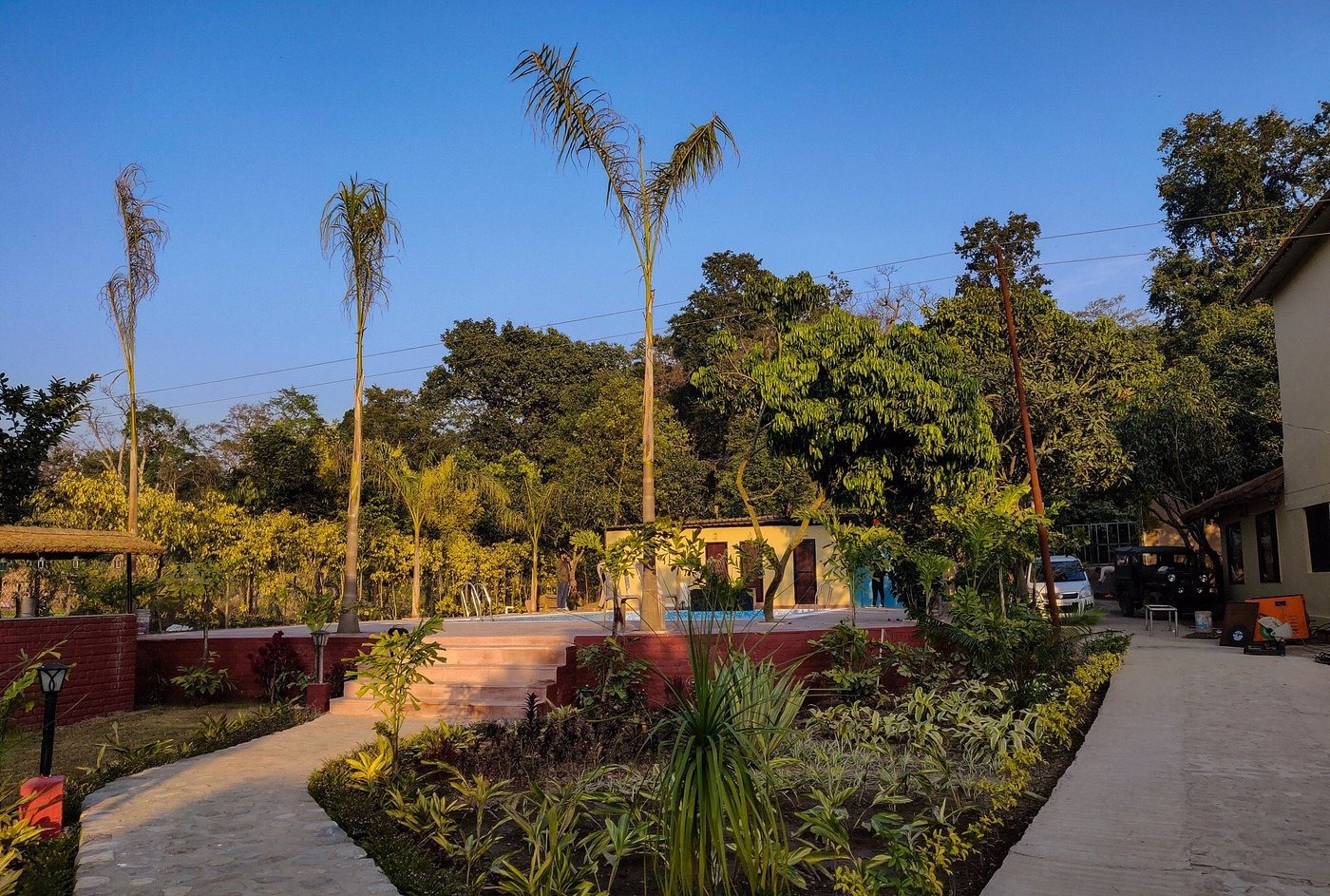 Corbett Tigers N Trees