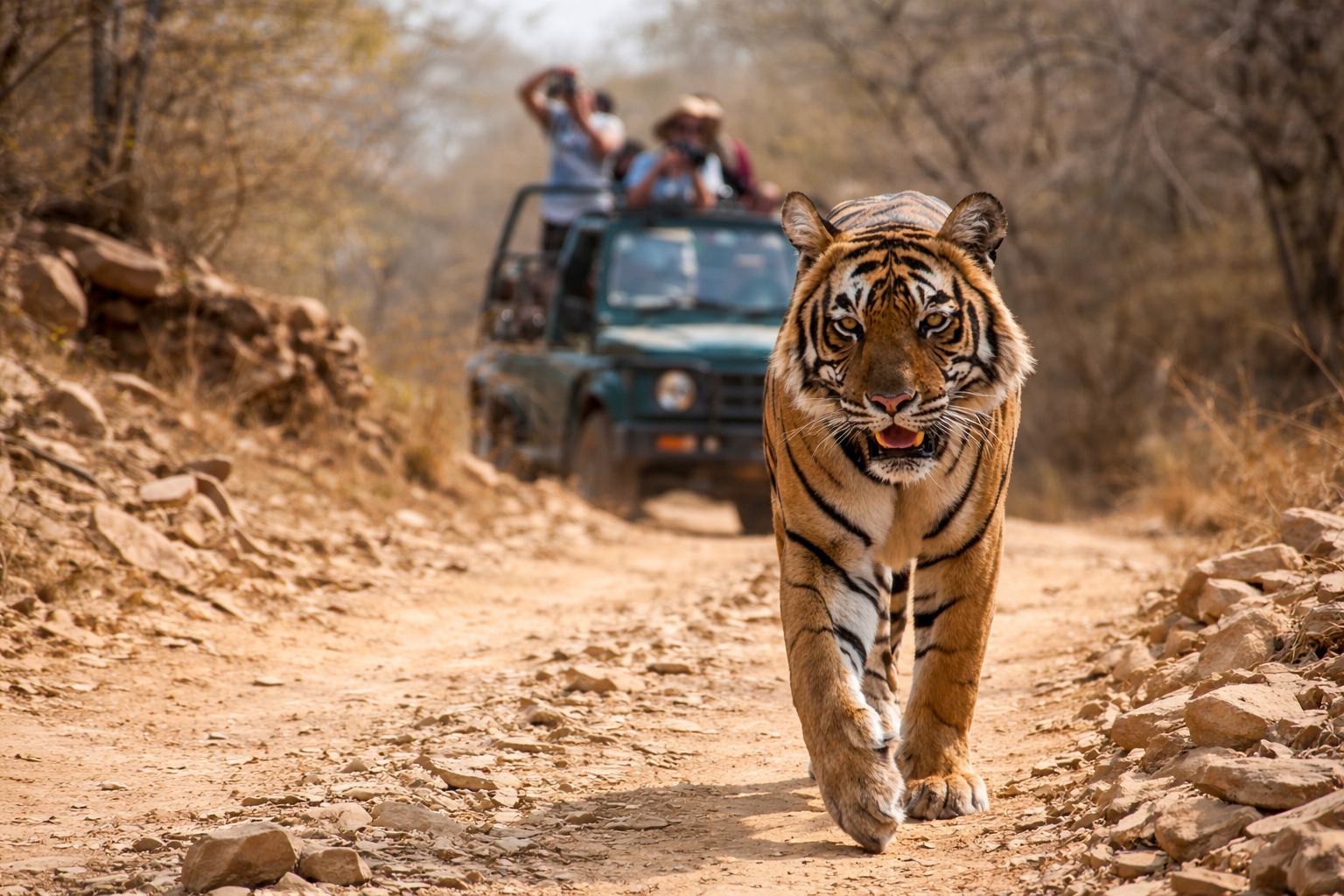 Corbett 2 Nights / 3 Days Package with 2 Gypsy Safaris