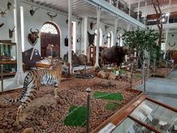 2 Night 3 Days Corbett Fun Tour